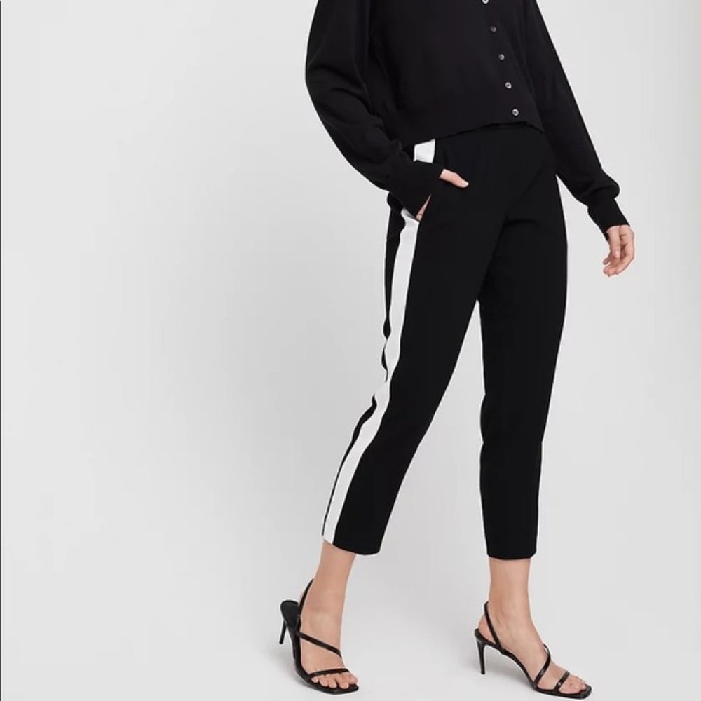 Aritzia Cohen Pant
